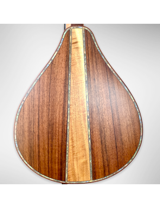 Mandolina Modelo AH-240522 con 8 cuerdas